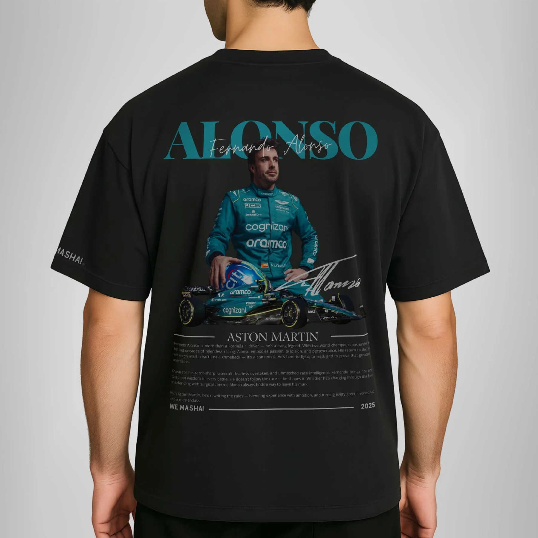 Fernando Alonso F1 2025
